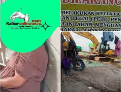 Lapor Bapak Kapolda. .Adanya Setoran PETI Milik Ahin di Lahan Gabut Kabupaten Ketapang.