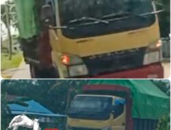 Truk Canter Siluman Angkut Kayu Ulin Ilegal di Kalimantan Barat